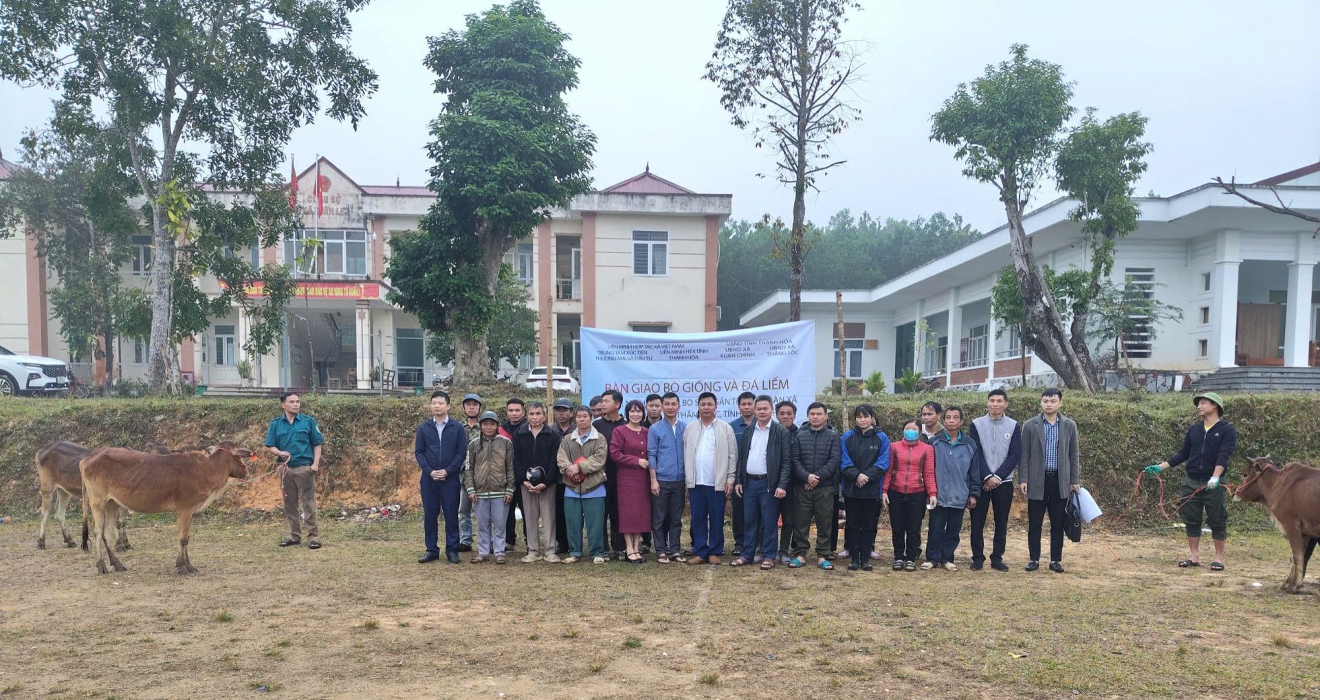 Thanh Hóa: Trung tâm Xúc tiến Thương mại và Đầu tư Liên minh Hợp tác xã Việt Nam bàn giao 80 bò cái giống sinh sản hỗ trợ sinh kế cho 40 hộ dân